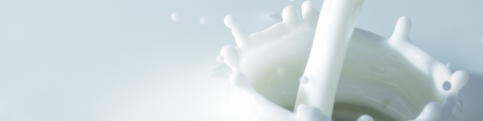 Liquid Dairy Products